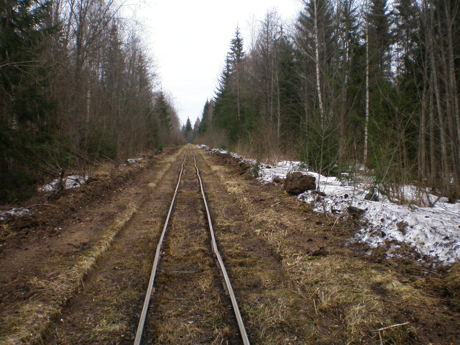 Узкоколейная железная дорога Ранцевского торфопредприятия  —  фотографии, сделанные в 2008 году (часть 7)
