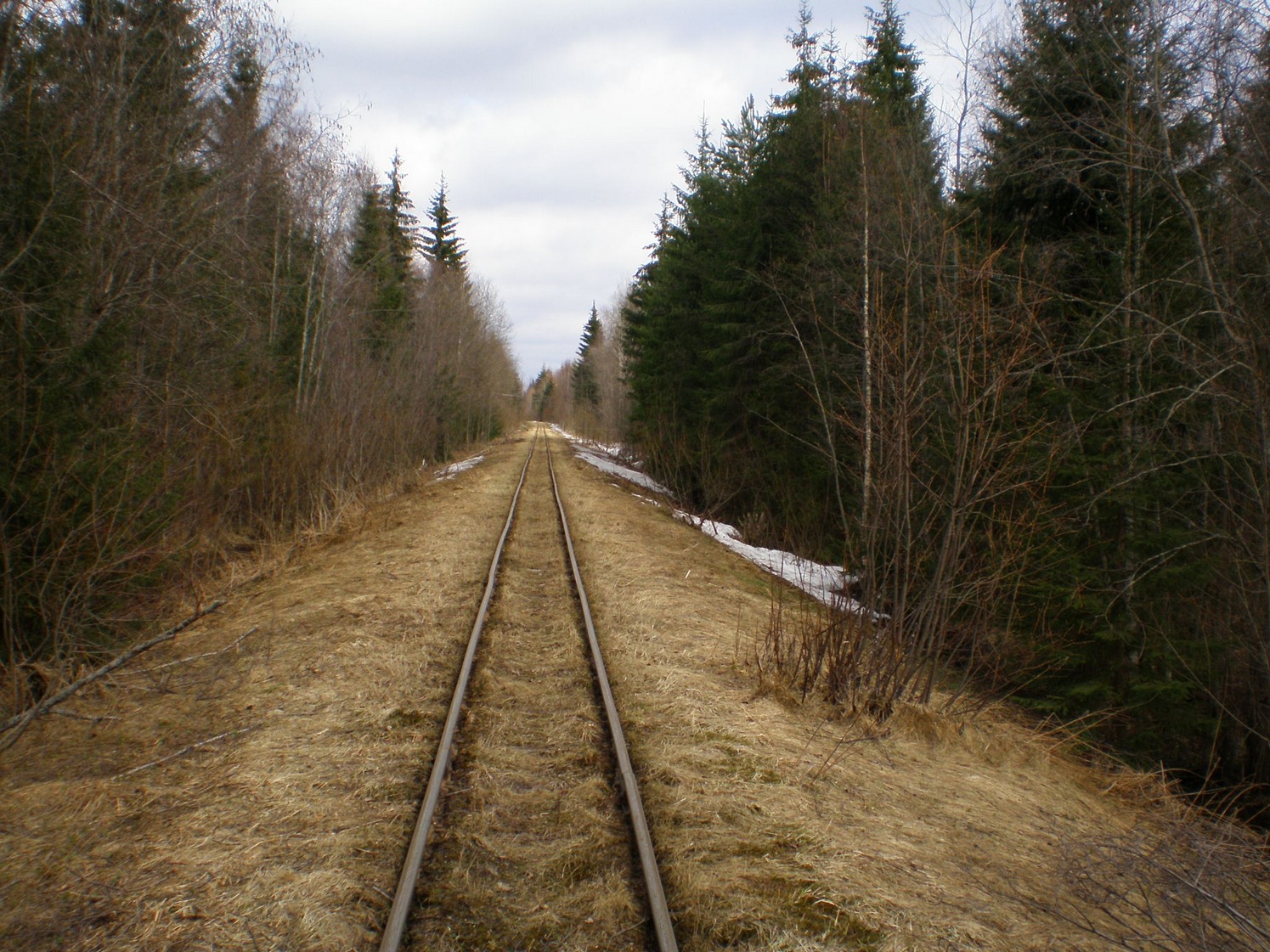 Узкоколейная железная дорога Ранцевского торфопредприятия  —  фотографии, сделанные в 2008 году (часть 9)