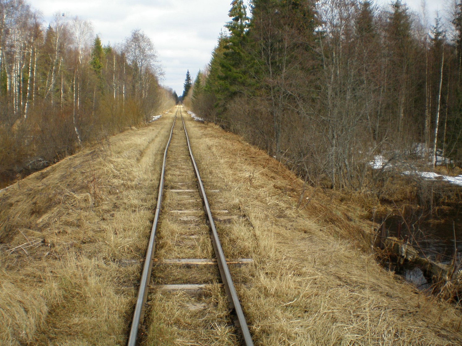 Узкоколейная железная дорога Ранцевского торфопредприятия  —  фотографии, сделанные в 2008 году (часть 10)