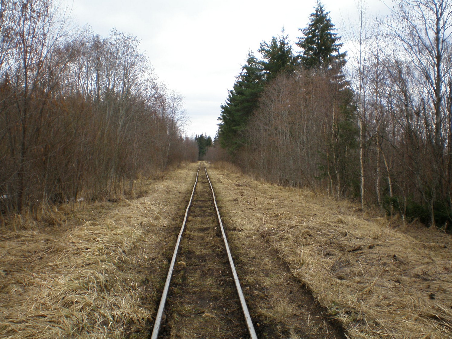 Узкоколейная железная дорога Ранцевского торфопредприятия  —  фотографии, сделанные в 2008 году (часть 11)