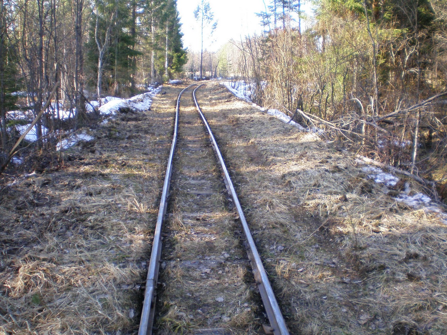 Узкоколейная железная дорога Ранцевского торфопредприятия  —  фотографии, сделанные в 2008 году (часть 14)