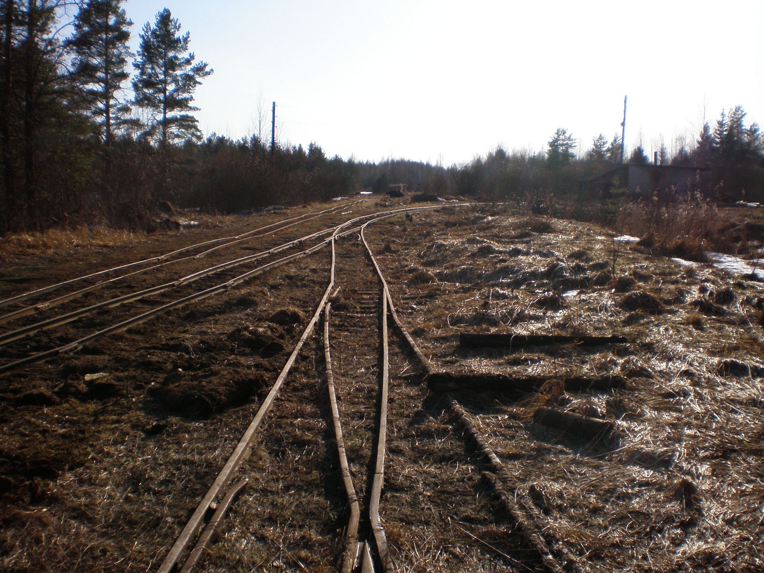 Узкоколейная железная дорога Ранцевского торфопредприятия  —  фотографии, сделанные в 2008 году (часть 16)