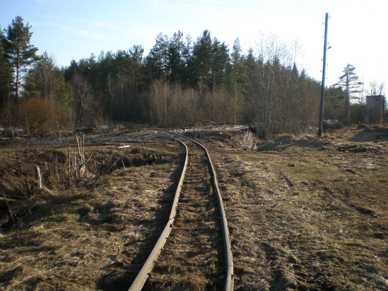 Узкоколейная железная дорога Ранцевского торфопредприятия  —  фотографии, сделанные в 2008 году (часть 18)