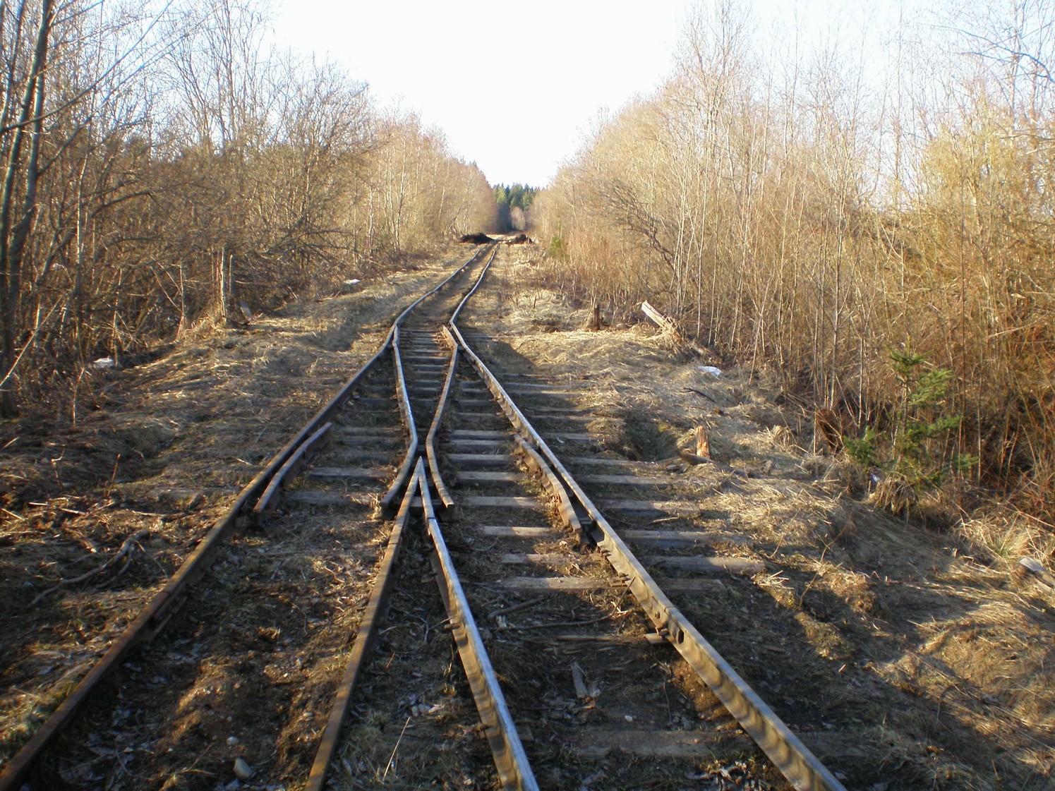 Узкоколейная железная дорога Ранцевского торфопредприятия  —  фотографии, сделанные в 2008 году (часть 19)