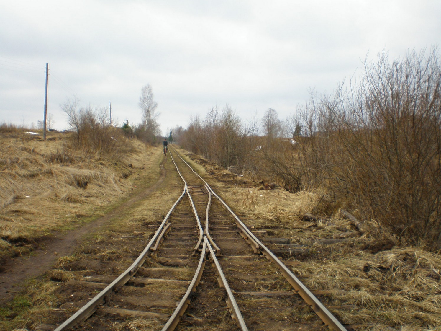 Узкоколейная железная дорога Ранцевского торфопредприятия  —  фотографии, сделанные в 2008 году (часть 3)