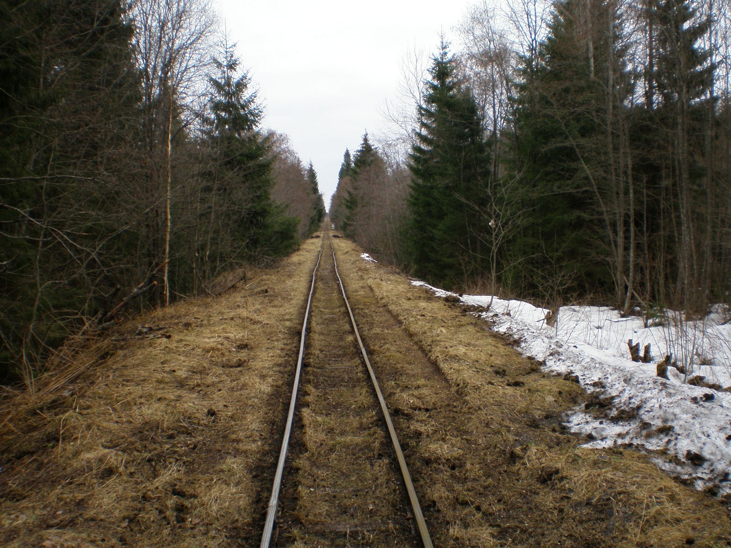 Узкоколейная железная дорога Ранцевского торфопредприятия  —  фотографии, сделанные в 2008 году (часть 5)