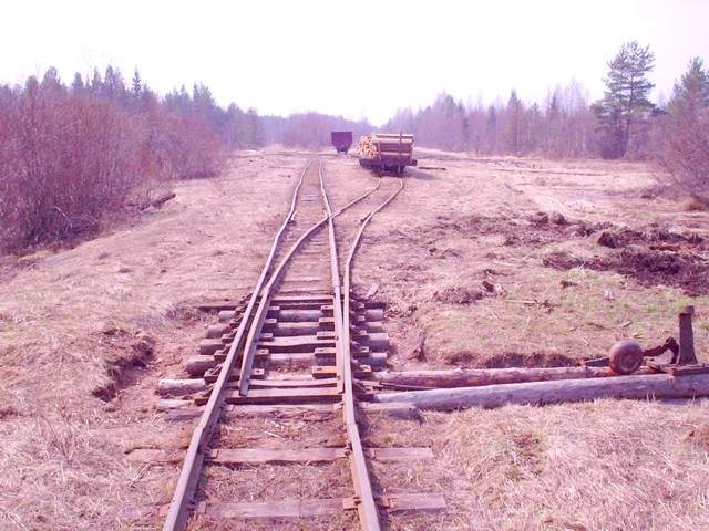 Узкоколейная железная дорога Ранцевского торфопредприятия  —  фотографии, сделанные в 2005 году (часть 2)