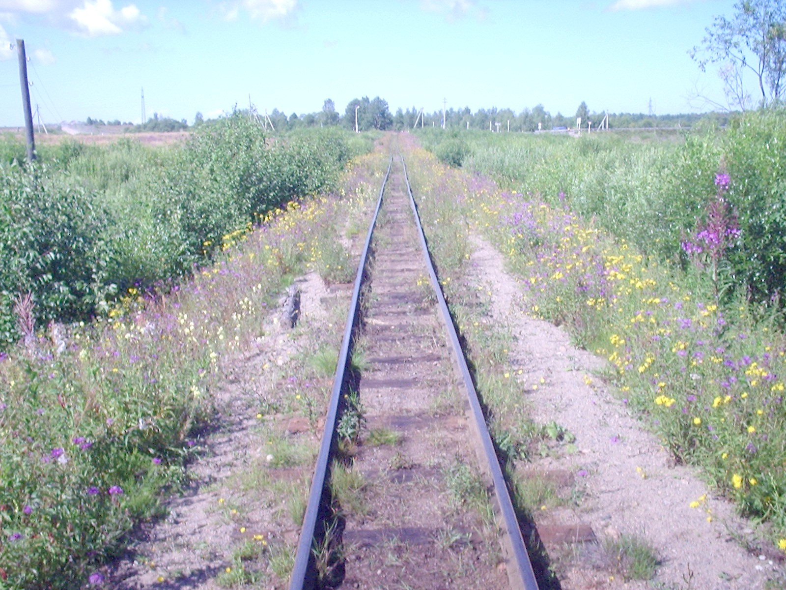 Сорокопольская узкоколейная железная дорога — фотографии, сделанные в 2006 году (часть 12)