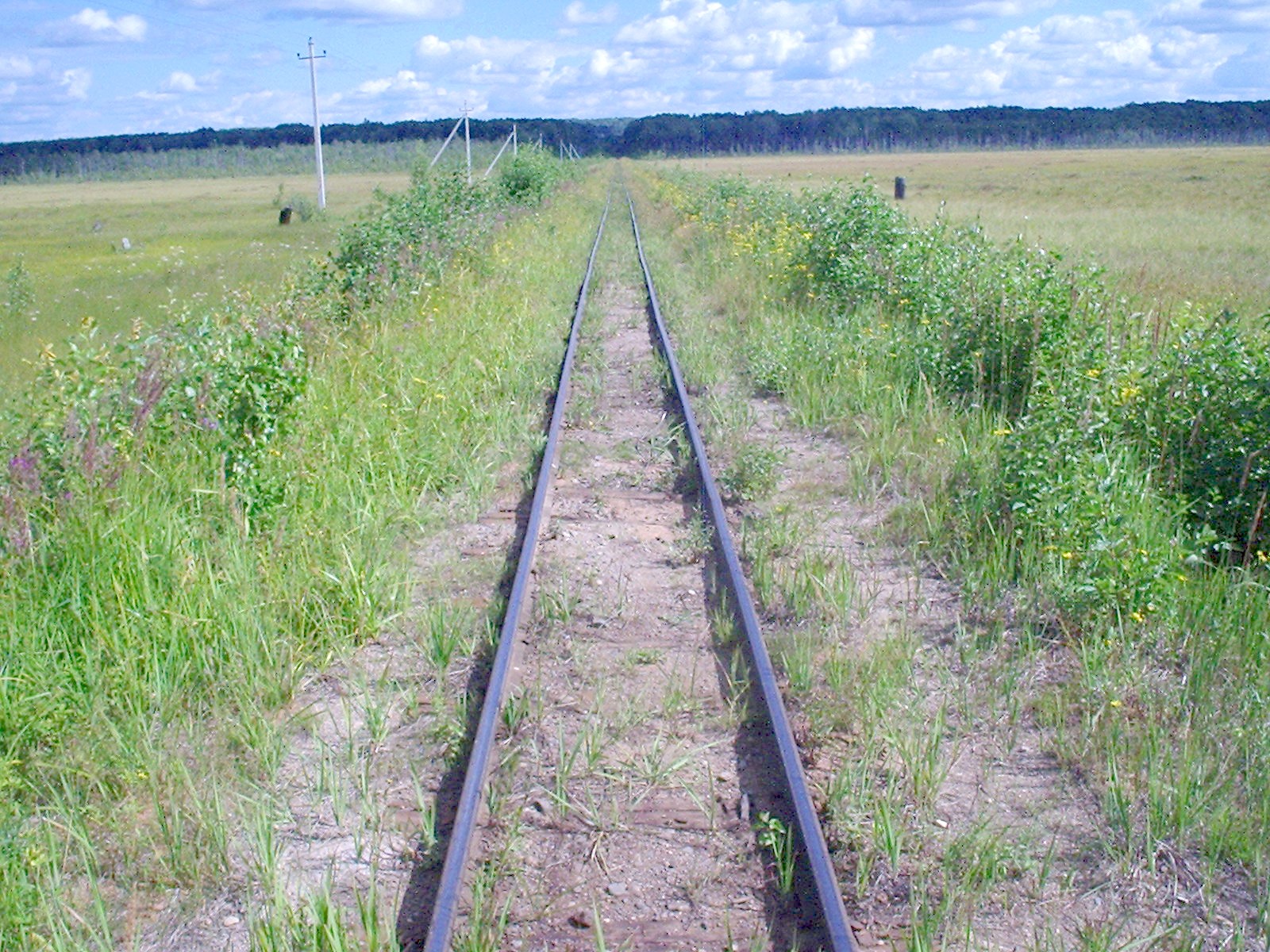 Сорокопольская узкоколейная железная дорога — фотографии, сделанные в 2006 году (часть 15)