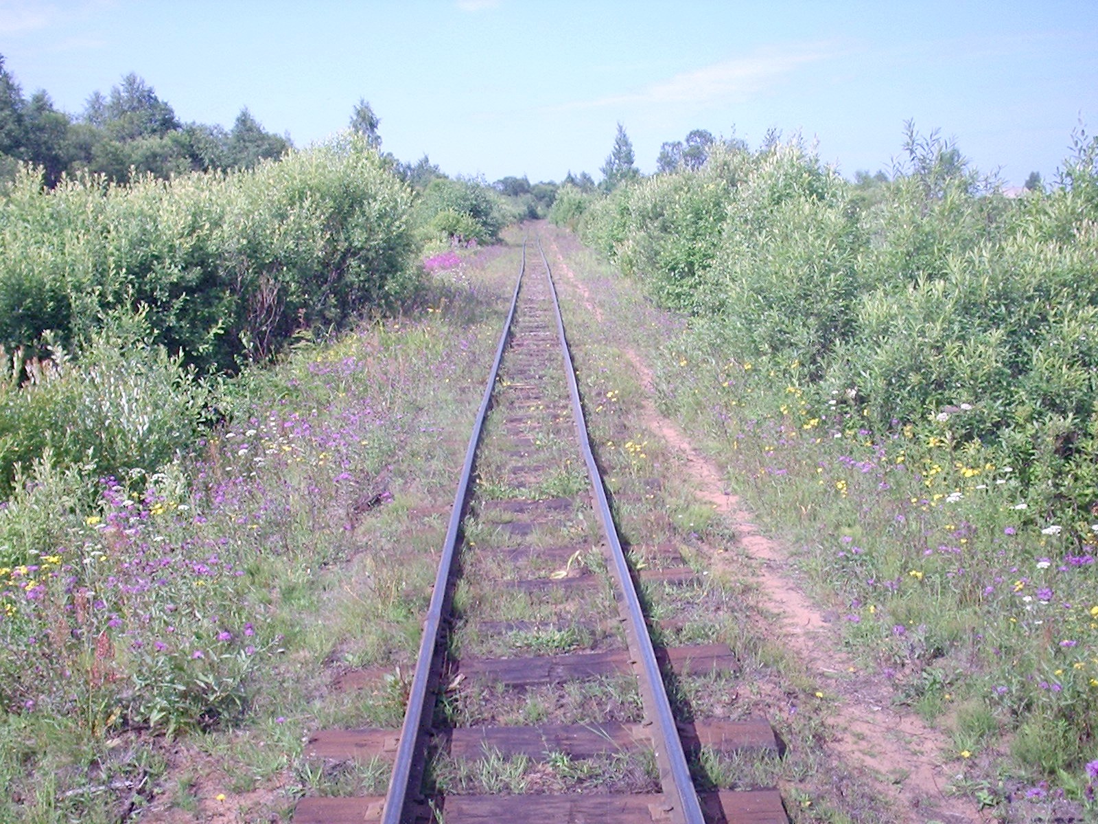Сорокопольская узкоколейная железная дорога — фотографии, сделанные в 2006 году (часть 3)