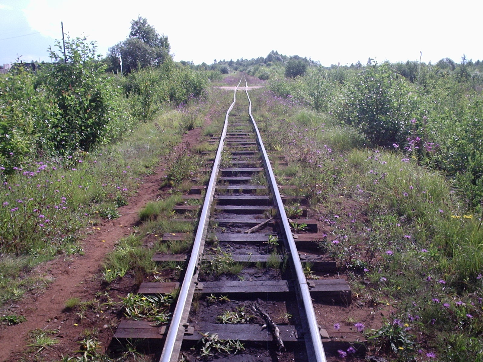 Сорокопольская узкоколейная железная дорога — фотографии, сделанные в 2006 году (часть 4)