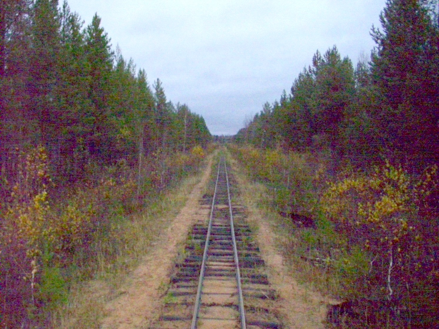 Чепецкая узкоколейная железная дорога  —  фотографии, сделанные в 2009 году (часть 9)