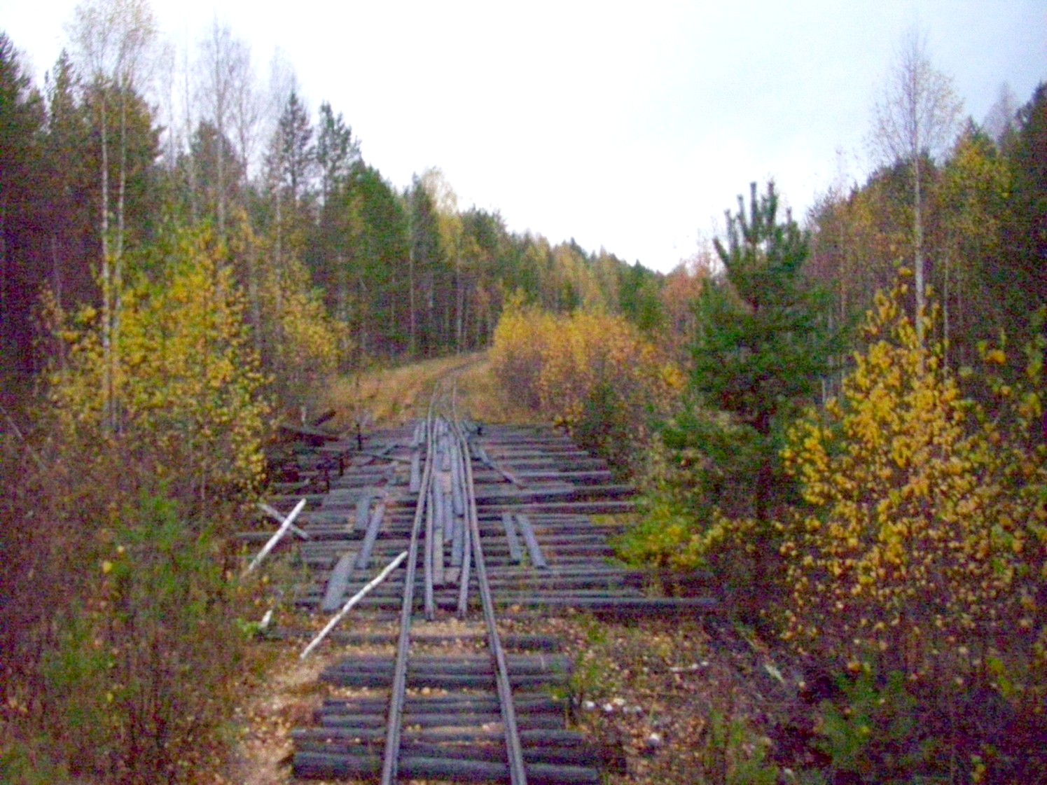 Чепецкая узкоколейная железная дорога  —  фотографии, сделанные в 2009 году (часть 10)