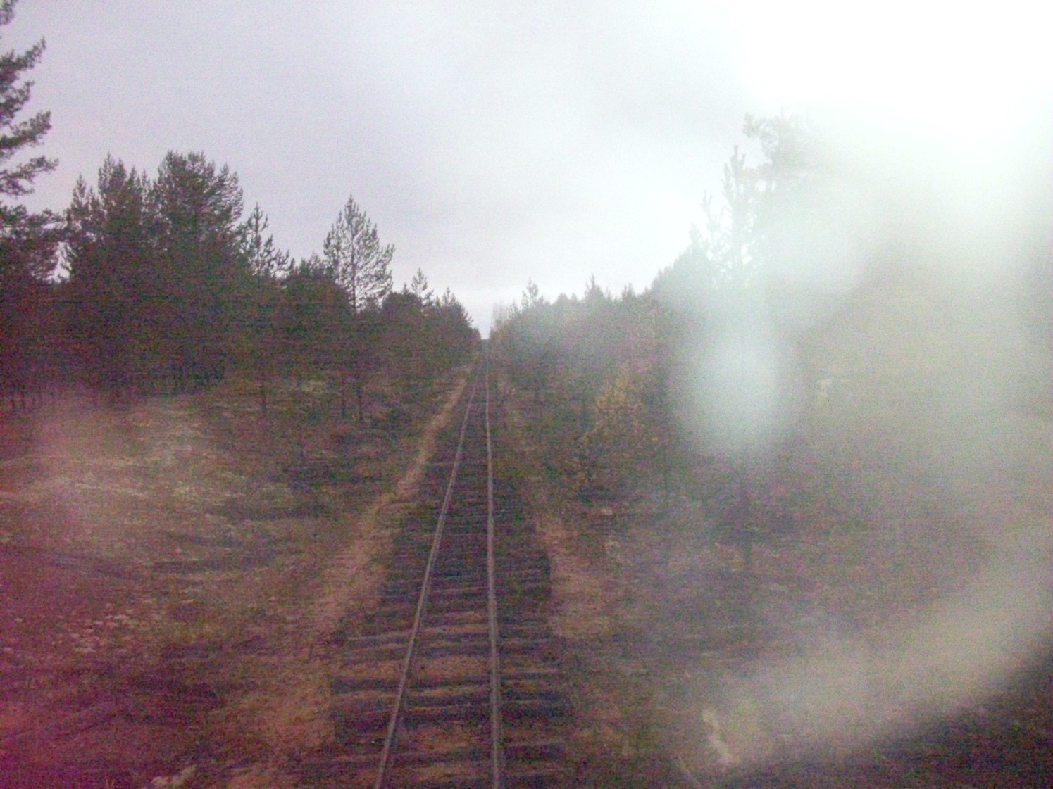 Чепецкая узкоколейная железная дорога  —  фотографии, сделанные в 2009 году (часть 11)