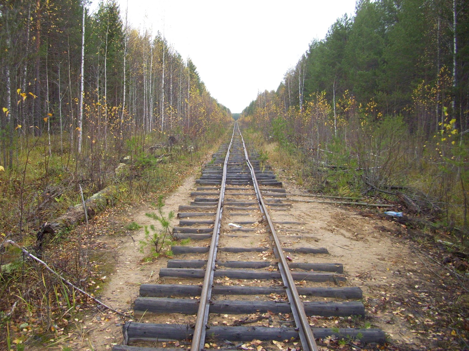 Чепецкая узкоколейная железная дорога  —  фотографии, сделанные в 2009 году (часть 13)