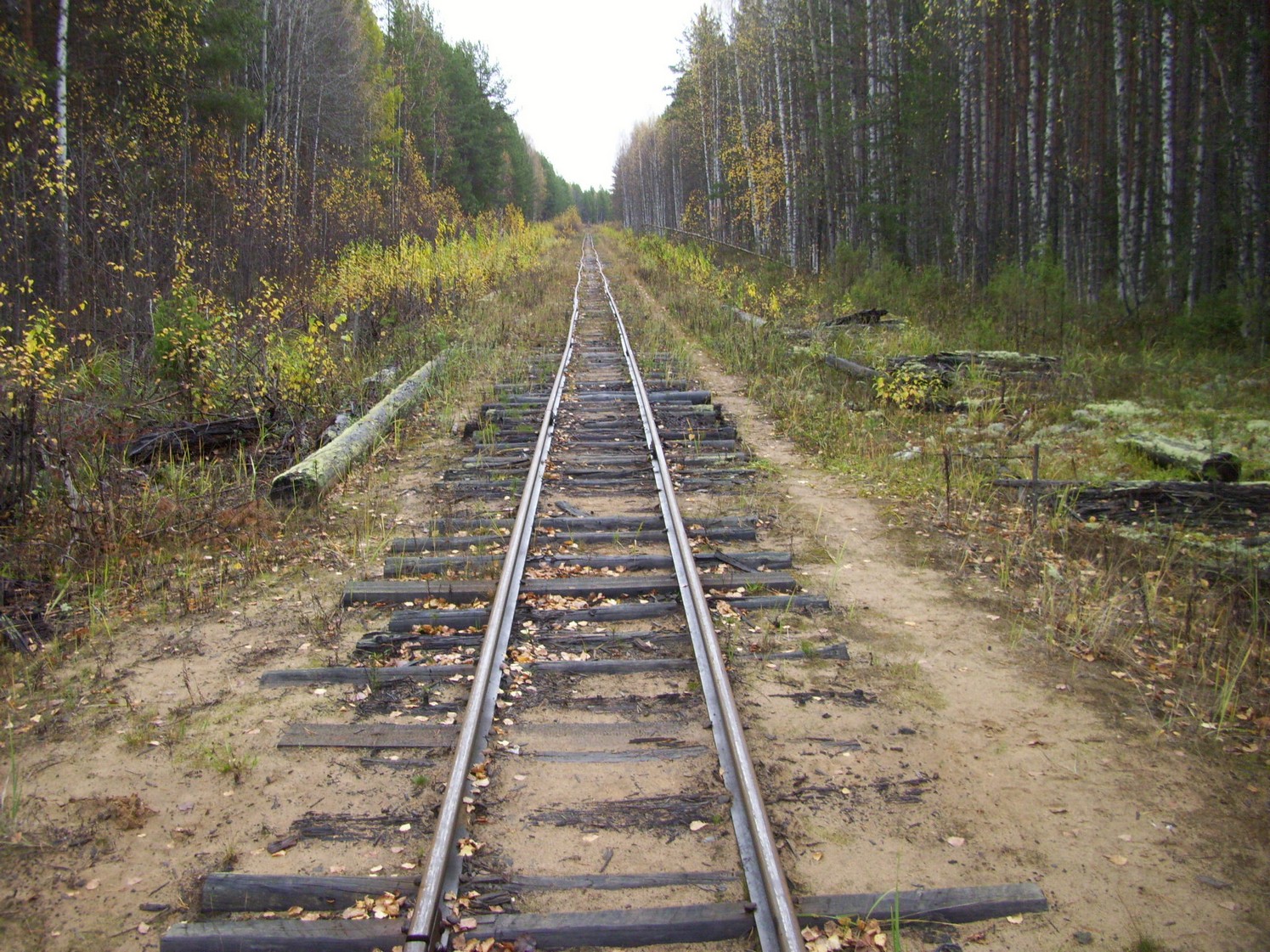 Чепецкая узкоколейная железная дорога  —  фотографии, сделанные в 2009 году (часть 14)