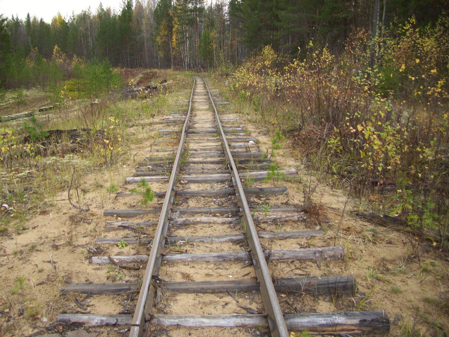 Чепецкая узкоколейная железная дорога  —  фотографии, сделанные в 2009 году (часть 15)