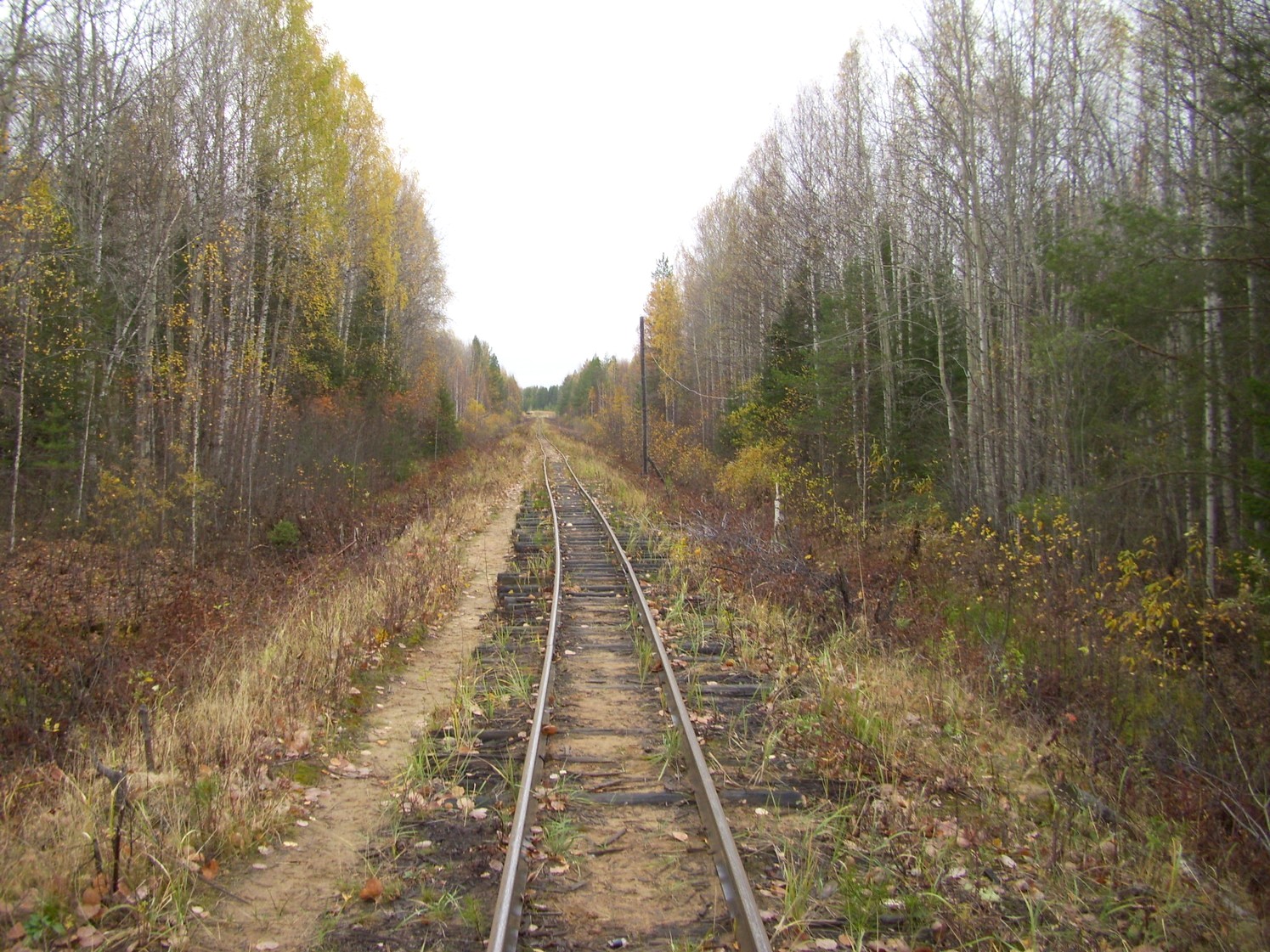 Чепецкая узкоколейная железная дорога  —  фотографии, сделанные в 2009 году (часть 16)
