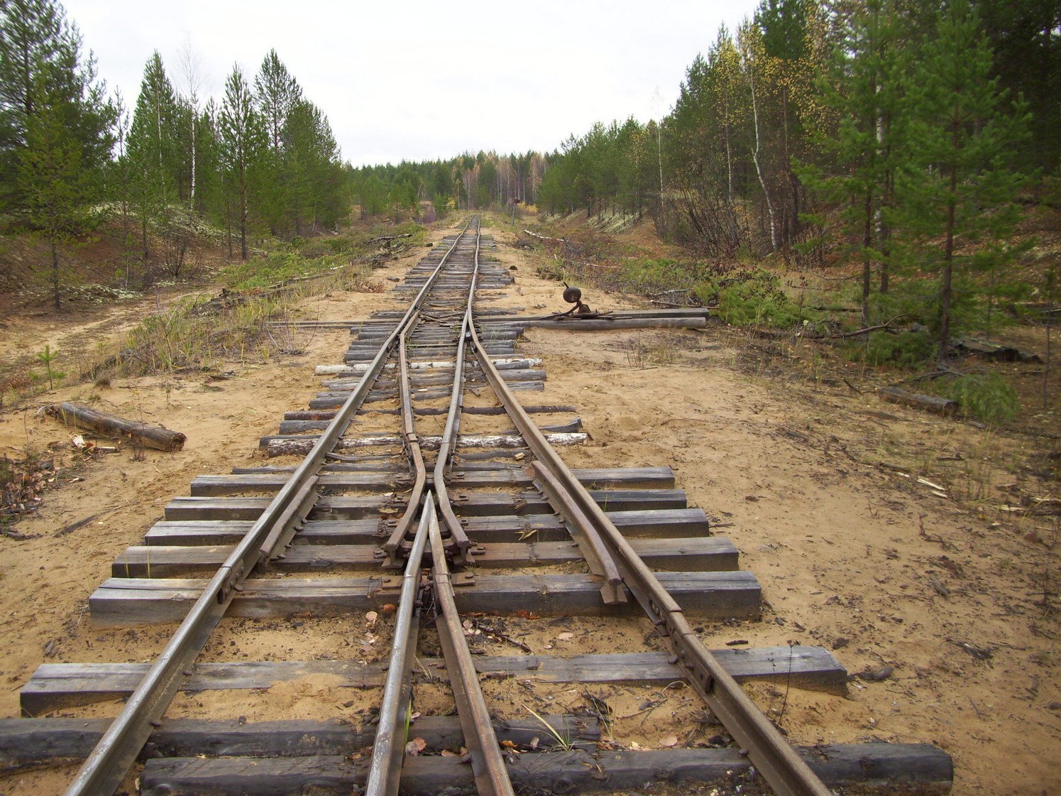 Чепецкая узкоколейная железная дорога  —  фотографии, сделанные в 2009 году (часть 17)