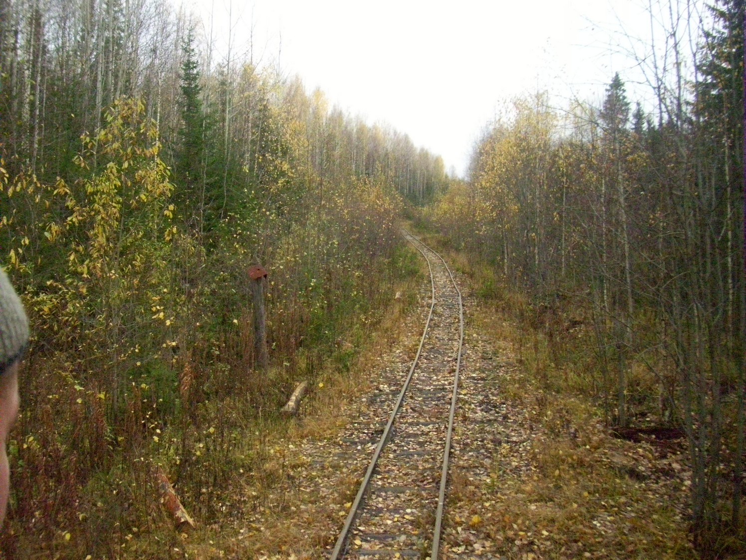 Чепецкая узкоколейная железная дорога  —  фотографии, сделанные в 2009 году (часть 20)