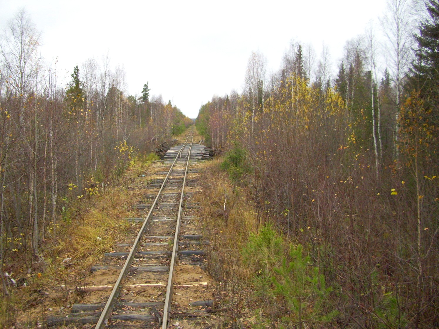 Чепецкая узкоколейная железная дорога  —  фотографии, сделанные в 2009 году (часть 21)