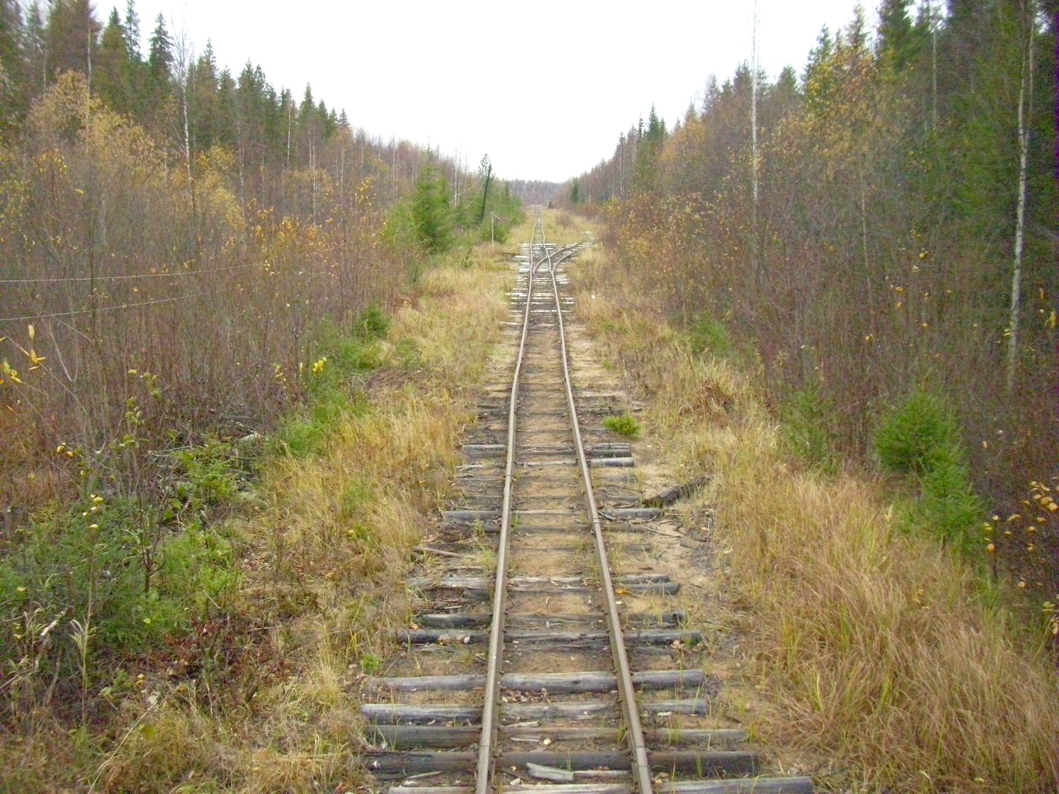Чепецкая узкоколейная железная дорога  —  фотографии, сделанные в 2009 году (часть 24)