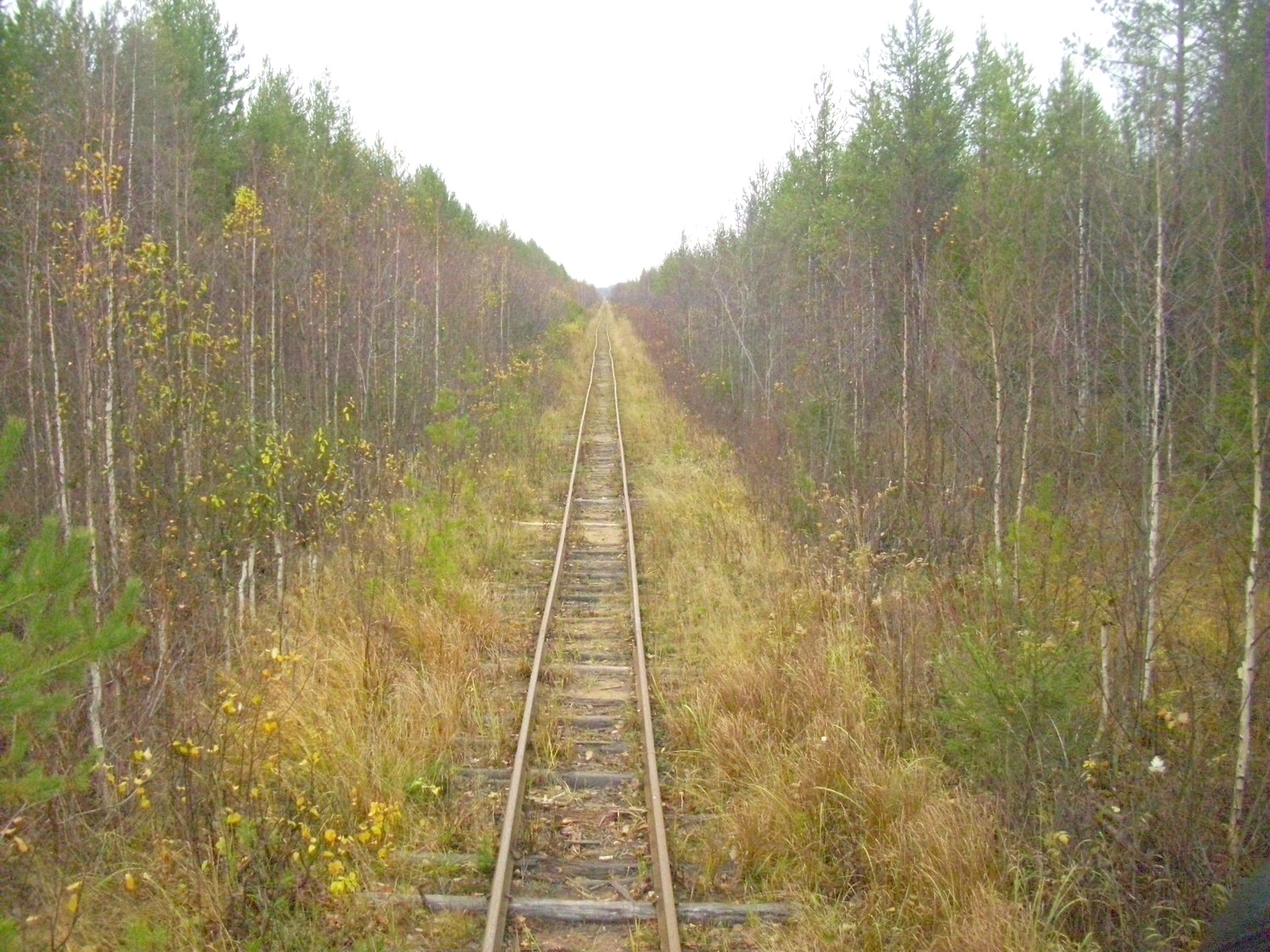Чепецкая узкоколейная железная дорога  —  фотографии, сделанные в 2009 году (часть 25)