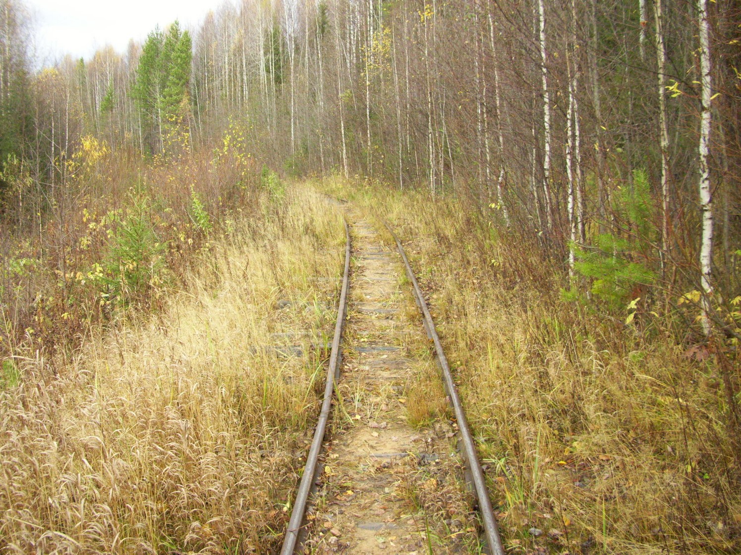 Чепецкая узкоколейная железная дорога  —  фотографии, сделанные в 2009 году (часть 27)