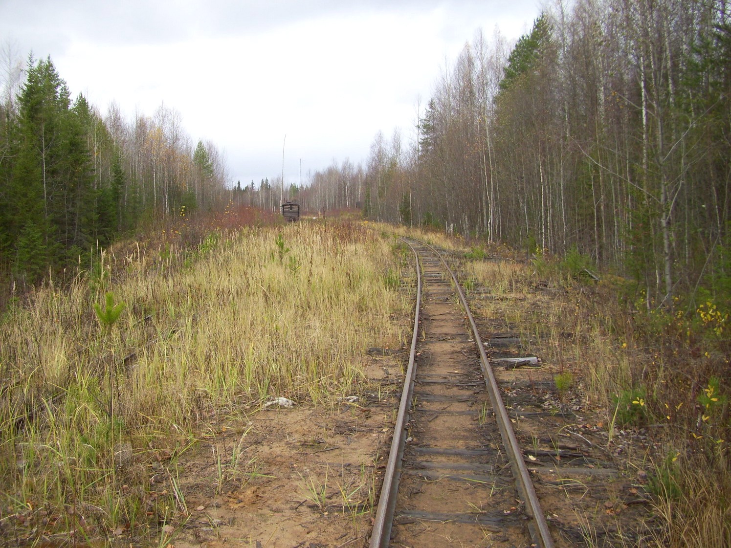 Чепецкая узкоколейная железная дорога  —  фотографии, сделанные в 2009 году (часть 28)
