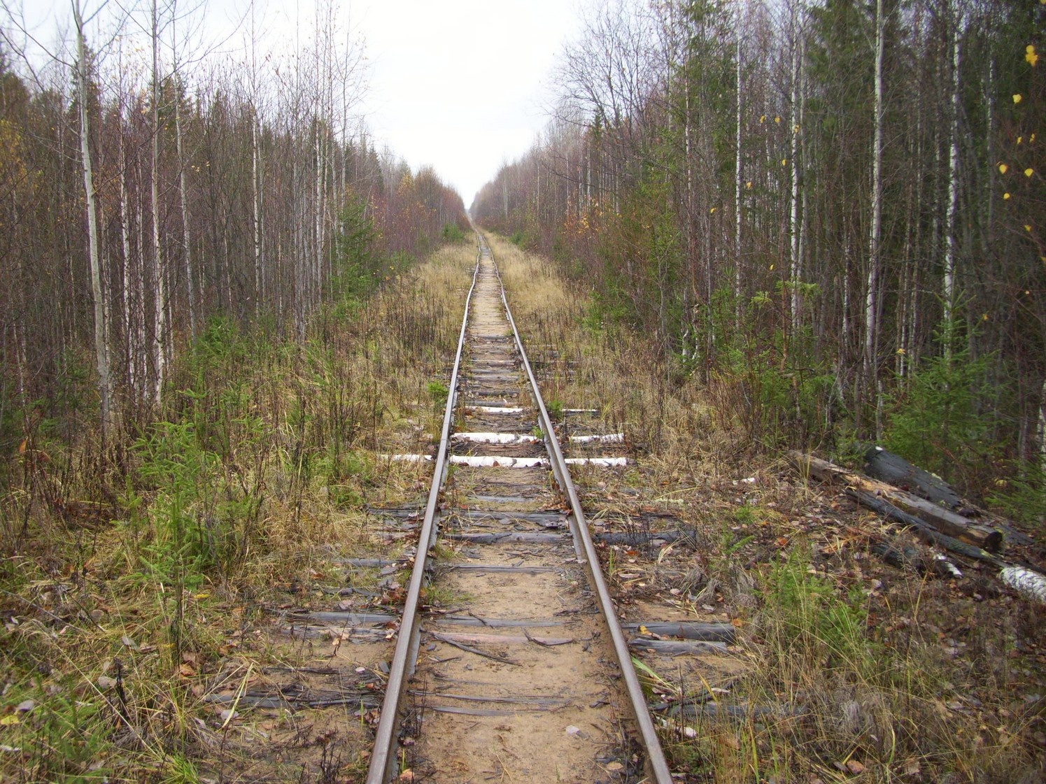 Чепецкая узкоколейная железная дорога  —  фотографии, сделанные в 2009 году (часть 29)