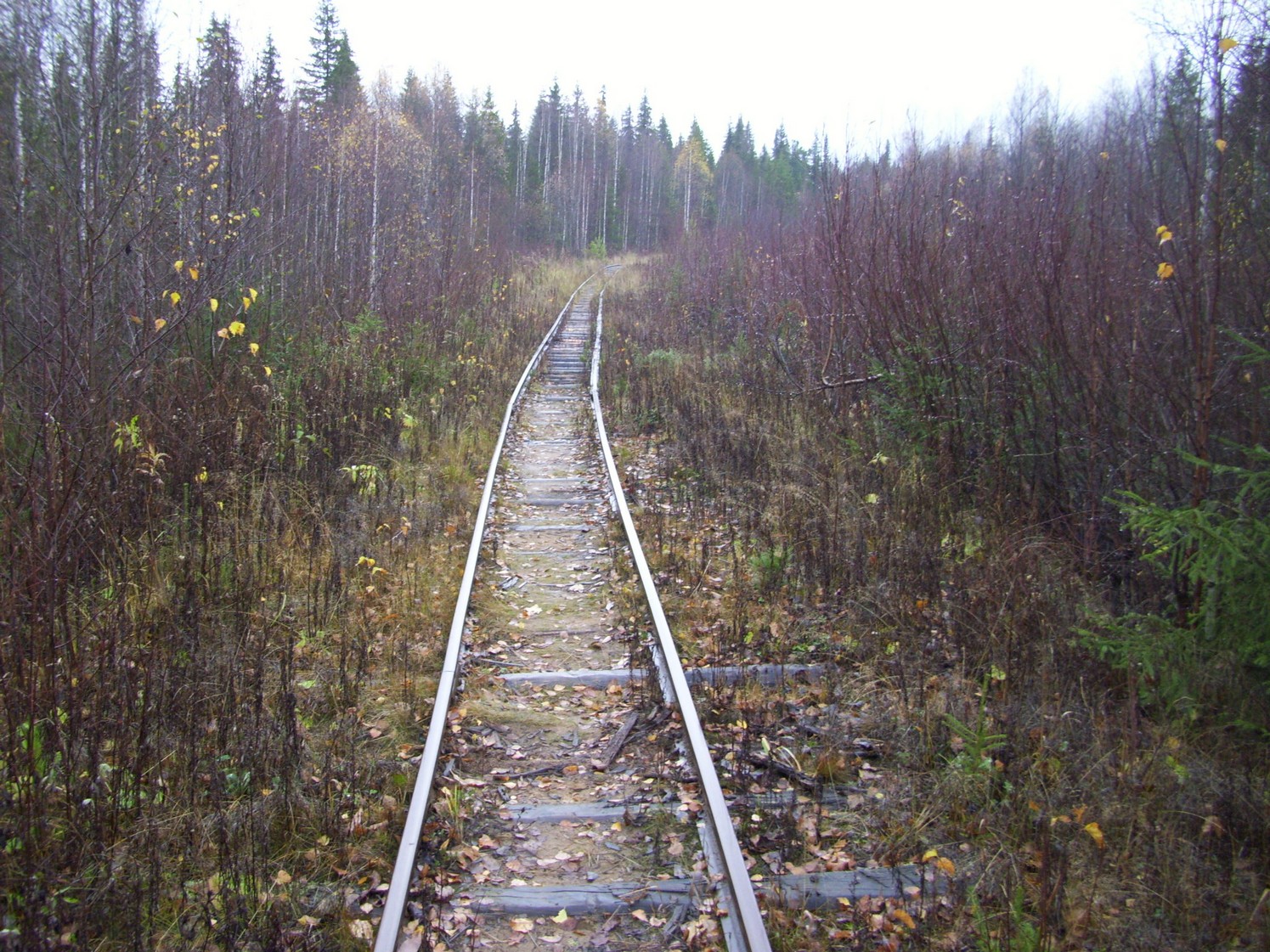 Чепецкая узкоколейная железная дорога  —  фотографии, сделанные в 2009 году (часть 30)