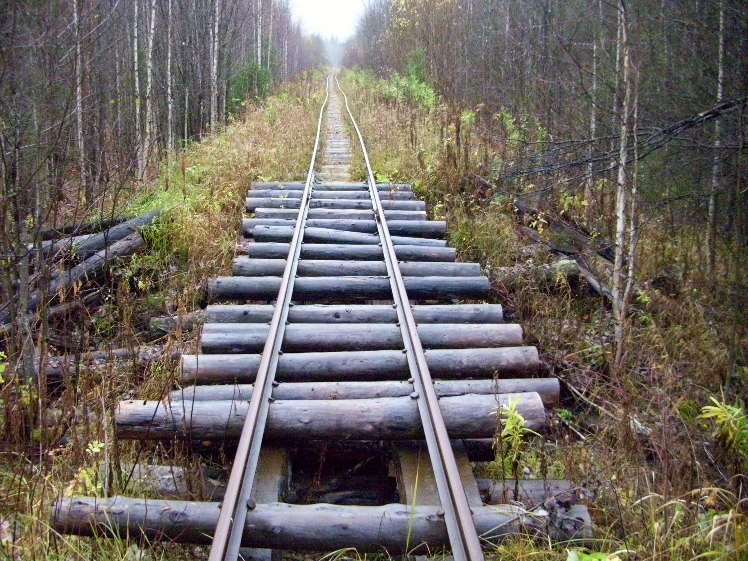 Чепецкая узкоколейная железная дорога  —  фотографии, сделанные в 2009 году (часть 31)