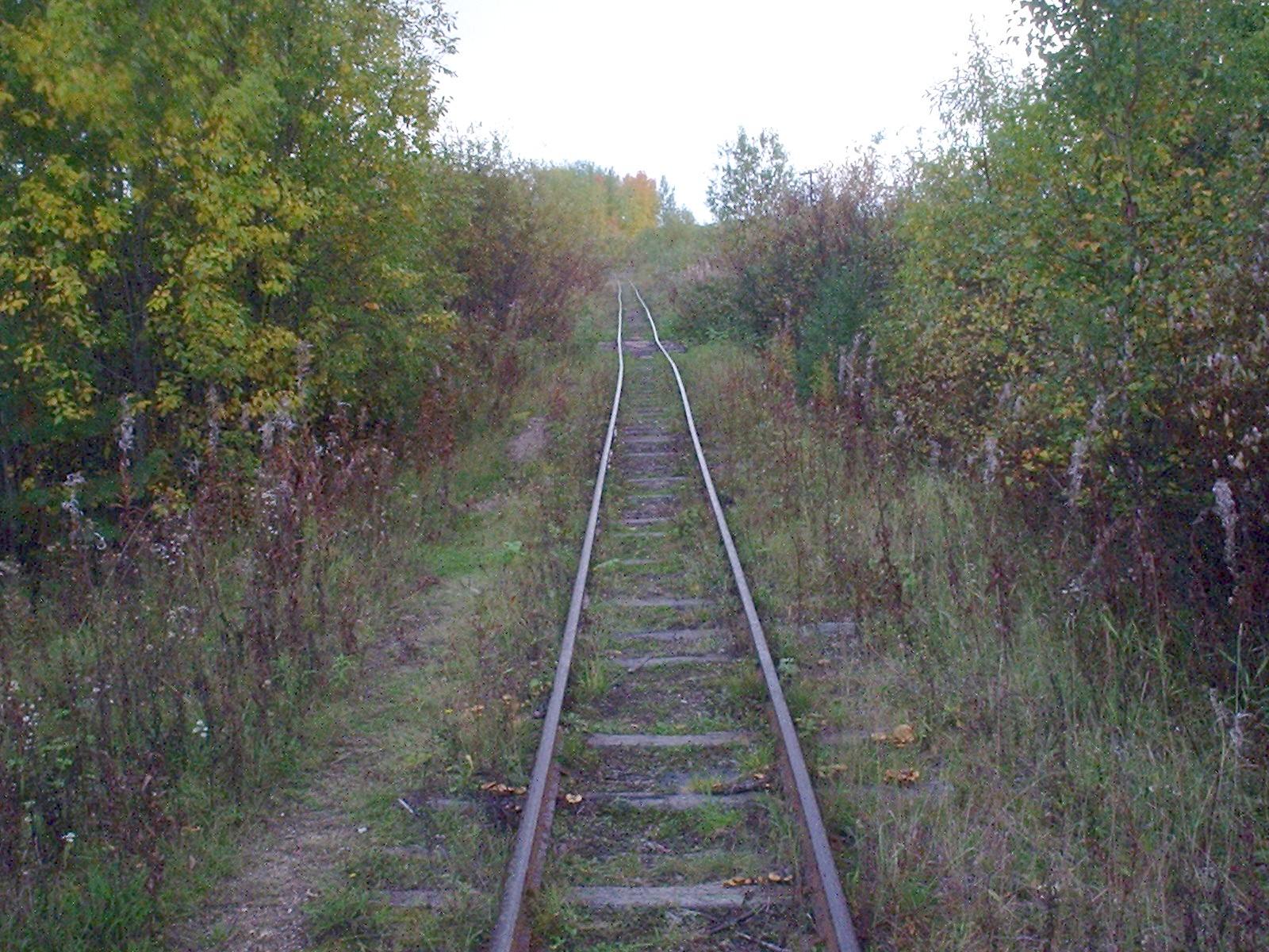 Ветьинская узкоколейная железная дорога — фотографии, сделанные в 2005 году (часть 5)