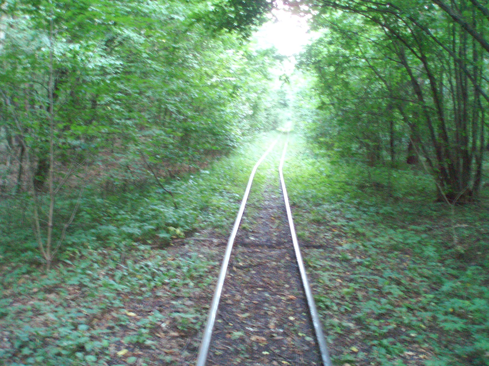 Узкоколейная железная дорога Берестовецкого карьера
  —  фотографии, сделанные в 2007 году (часть 6)