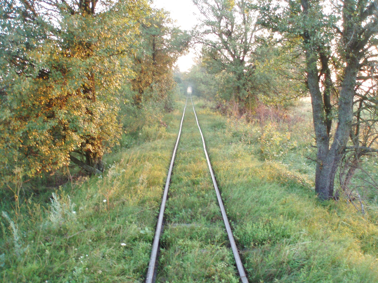 Узкоколейная железная дорога Берестовецкого карьера
  —  фотографии, сделанные в 2007 году (часть 7)