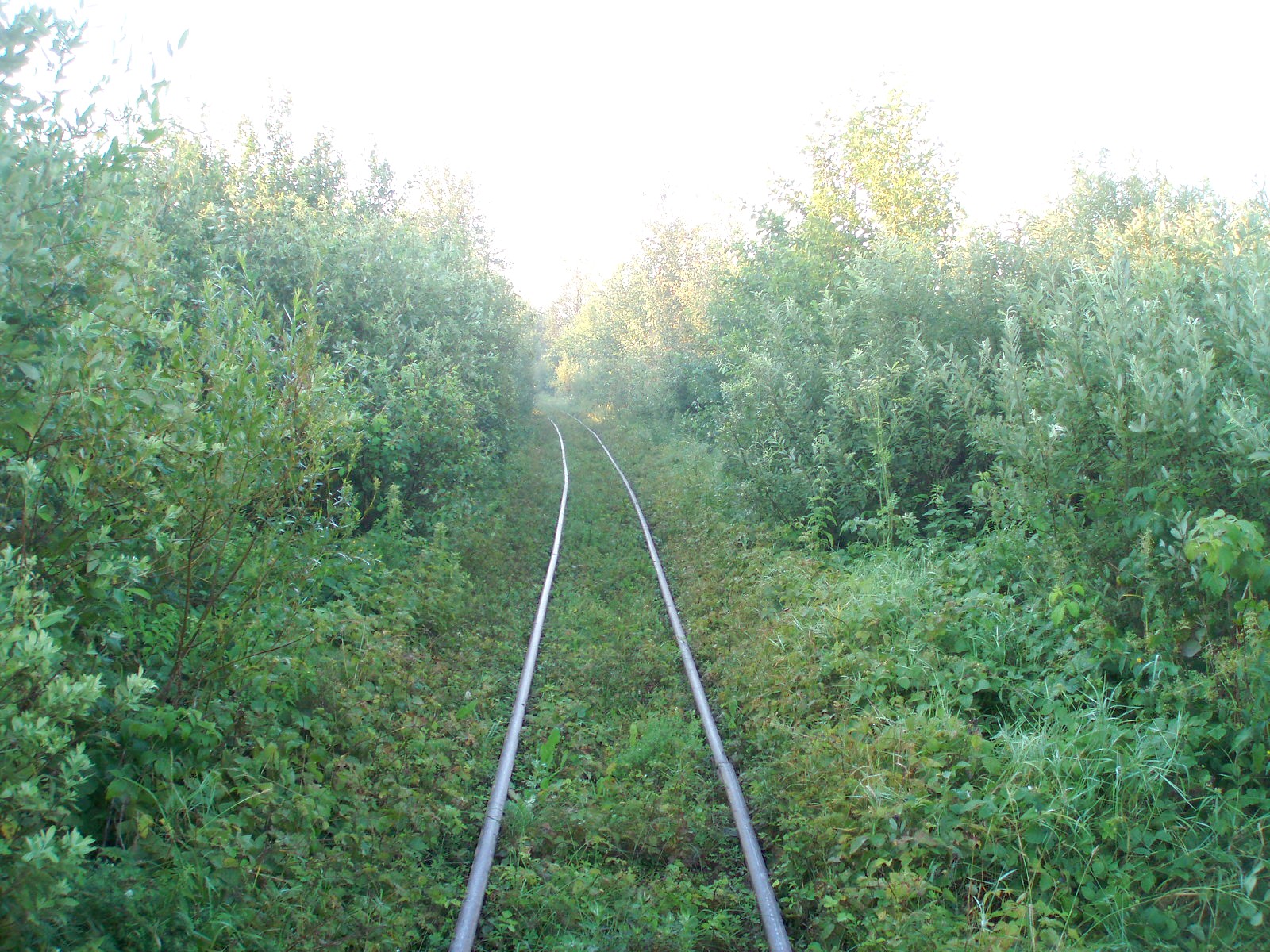 Узкоколейная железная дорога Берестовецкого карьера
  —  фотографии, сделанные в 2007 году (часть 8)