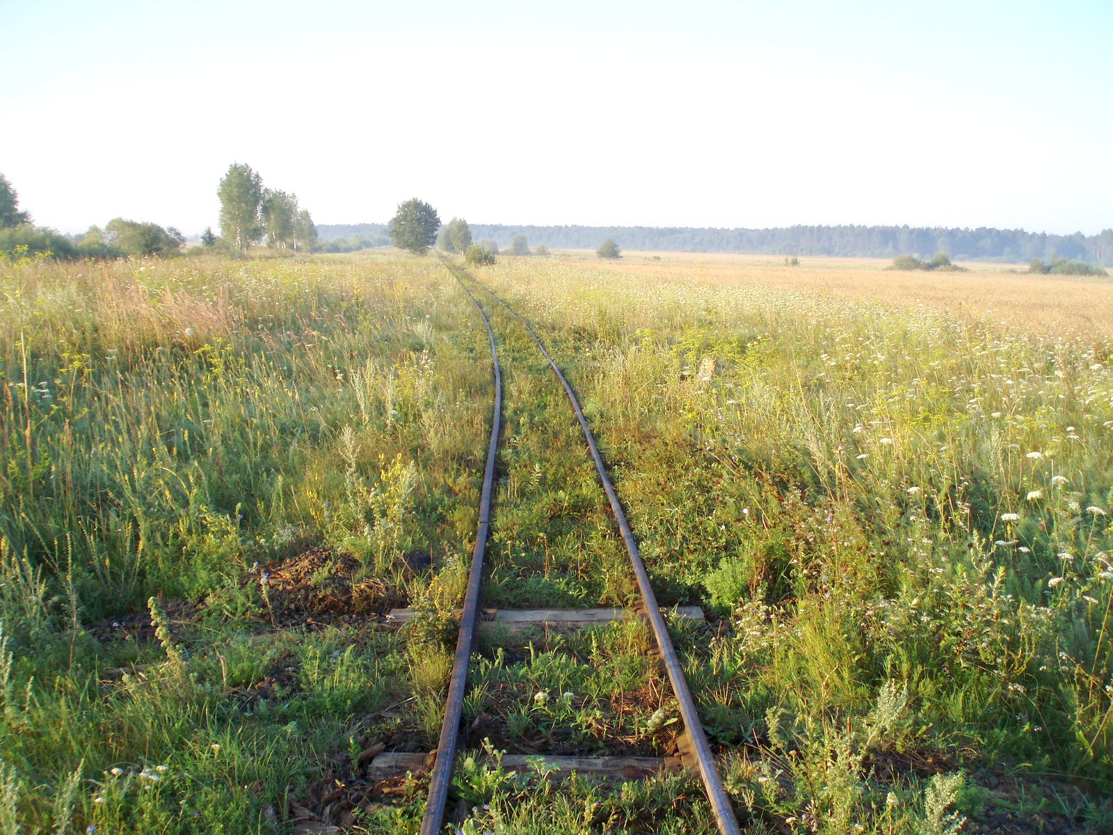 Узкоколейная железная дорога Берестовецкого карьера
  —  фотографии, сделанные в 2007 году (часть 9)