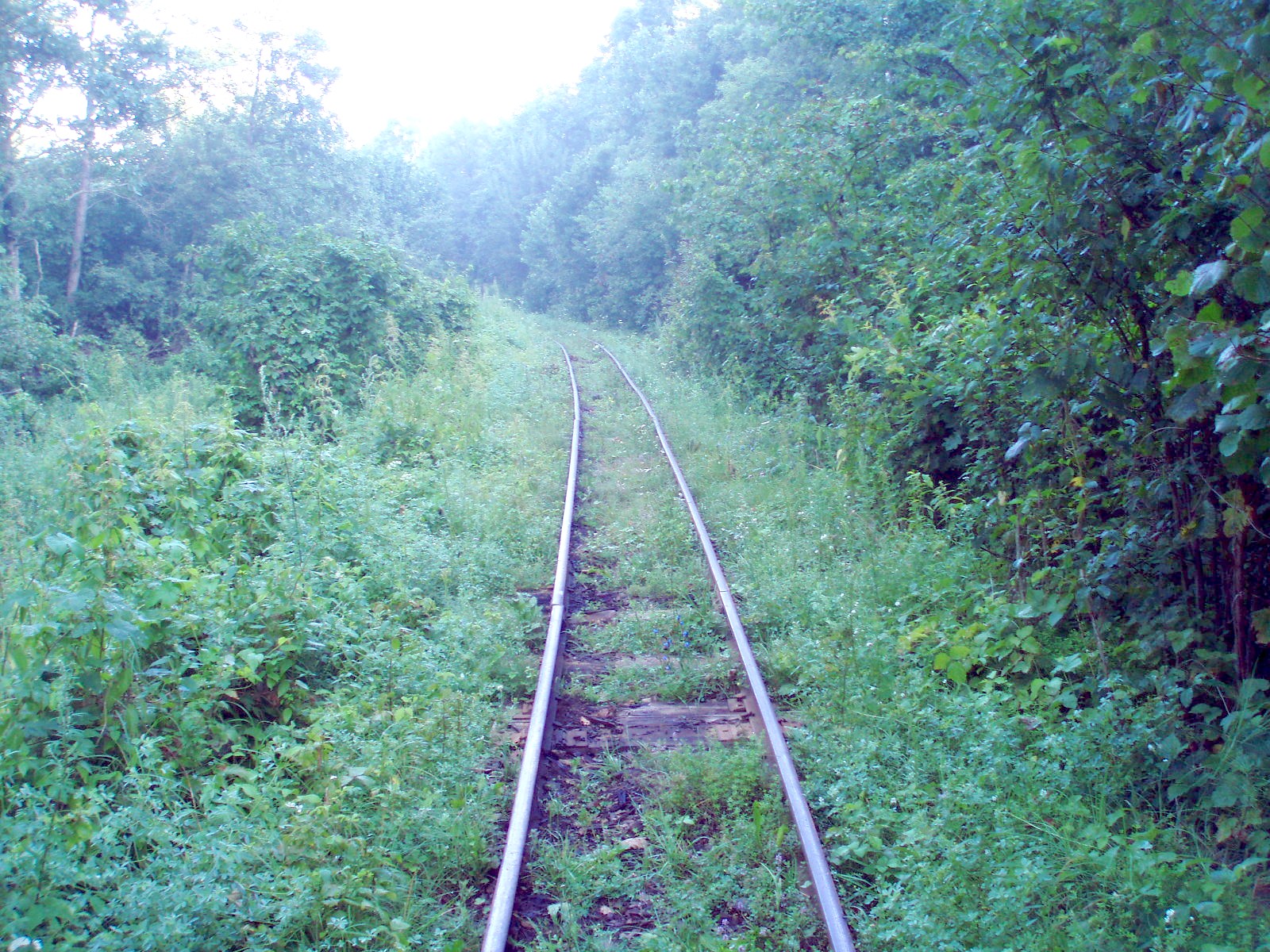Узкоколейная железная дорога Берестовецкого карьера
  —  фотографии, сделанные в 2007 году (часть 10)
