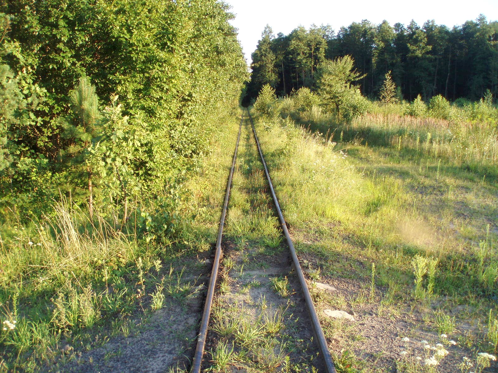 Узкоколейная железная дорога Берестовецкого карьера
  —  фотографии, сделанные в 2007 году (часть 4)