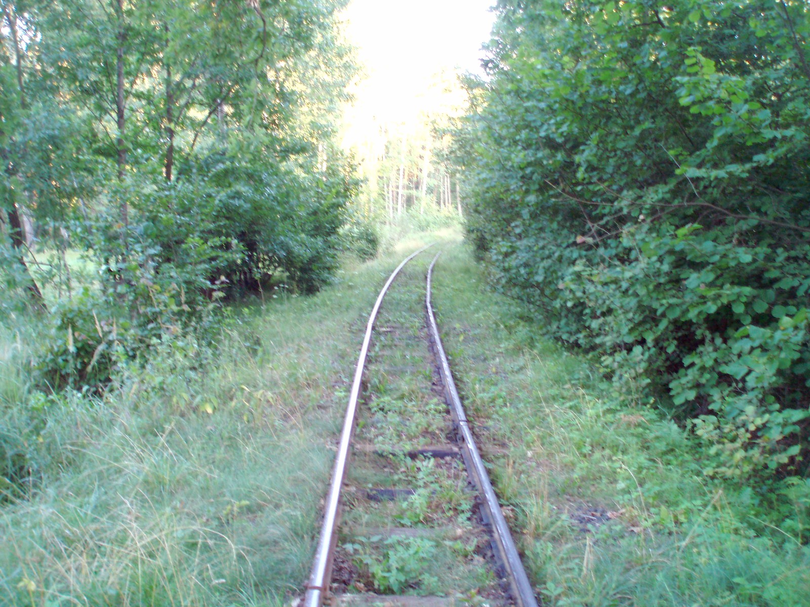 Узкоколейная железная дорога Берестовецкого карьера
  —  фотографии, сделанные в 2007 году (часть 5)