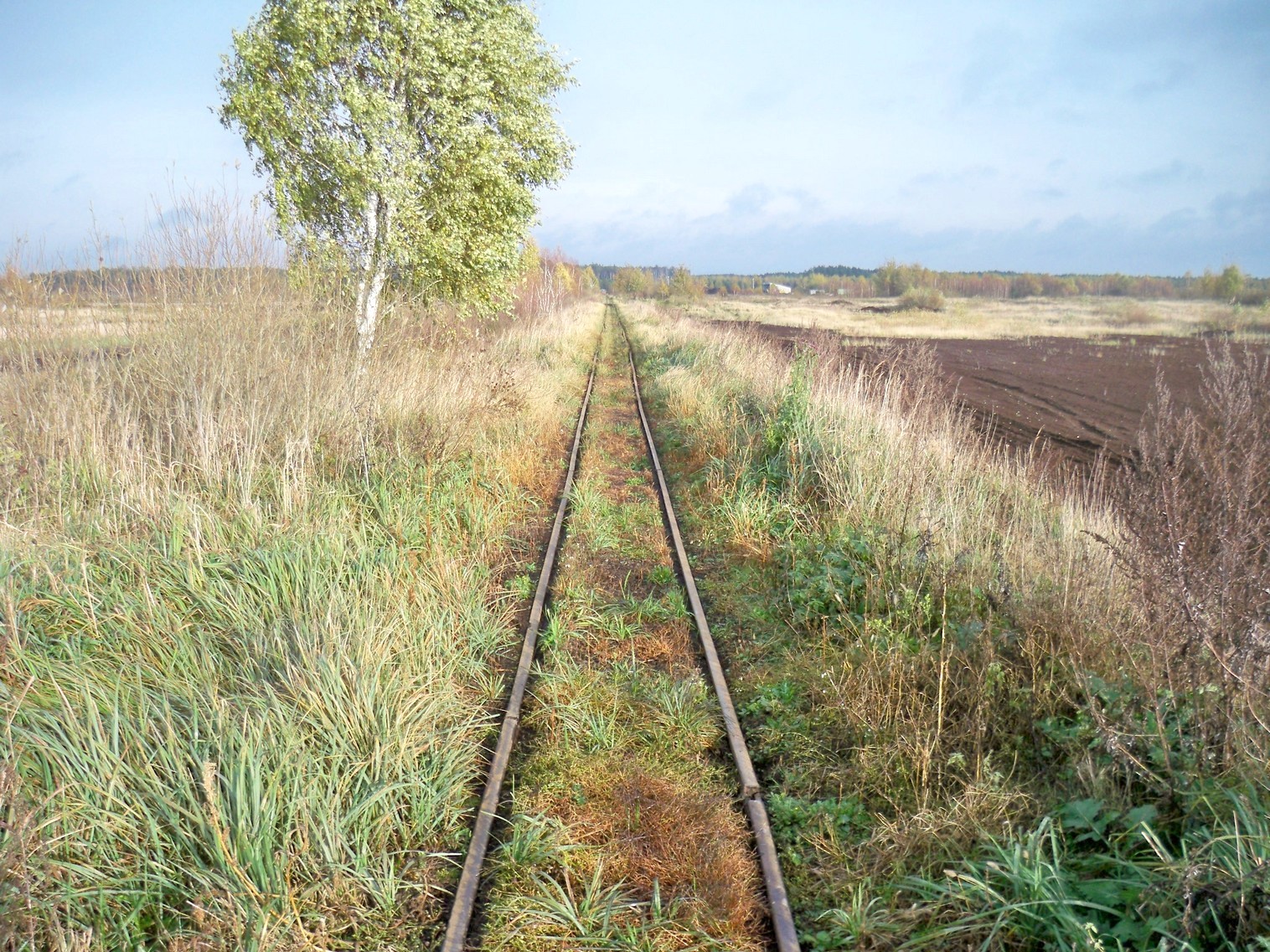 Узкоколейная железная дорога в Должице
  —  фотографии, сделанные в 2012 году (часть 3)
