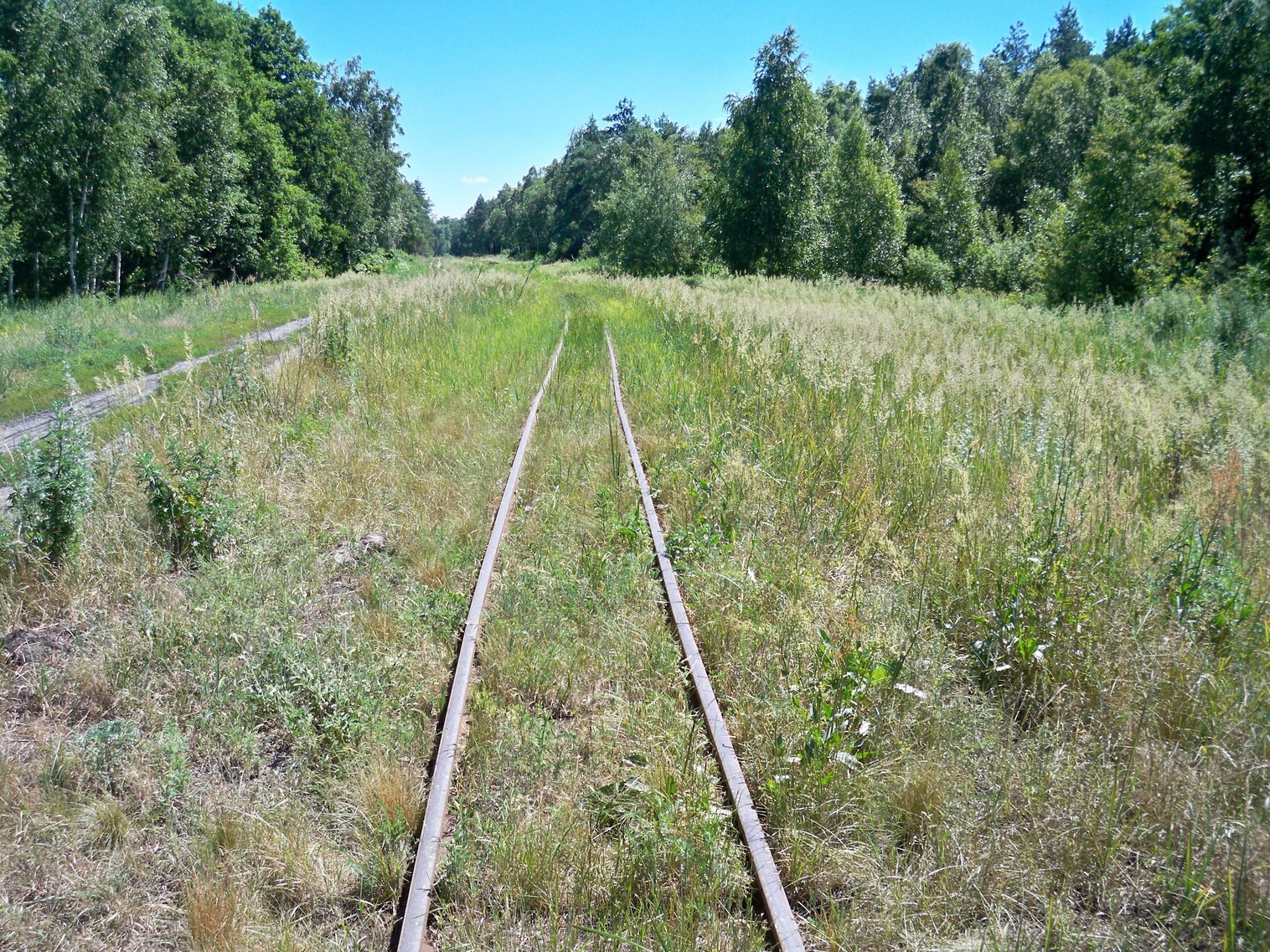 Узкоколейная железная дорога Ирдынского торфобрикетного завода
  —  фотографии, сделанные в 2013 году (часть 2)