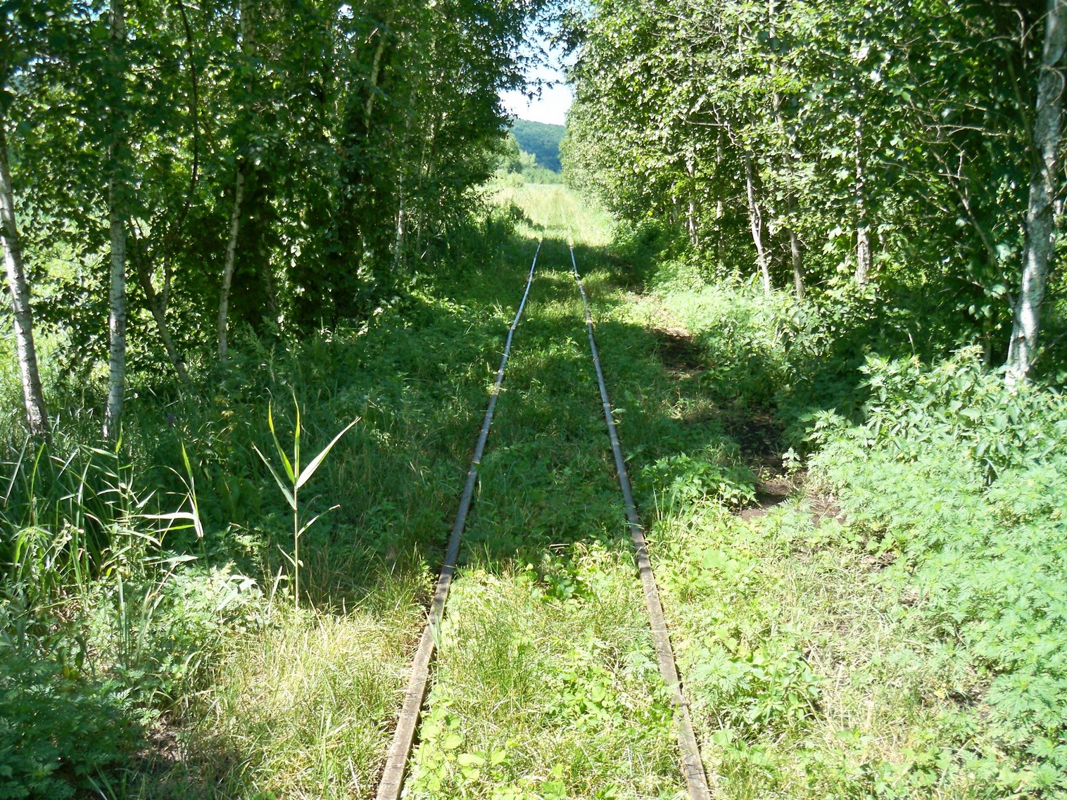 Узкоколейная железная дорога Ирдынского торфобрикетного завода
  —  фотографии, сделанные в 2013 году (часть 3)