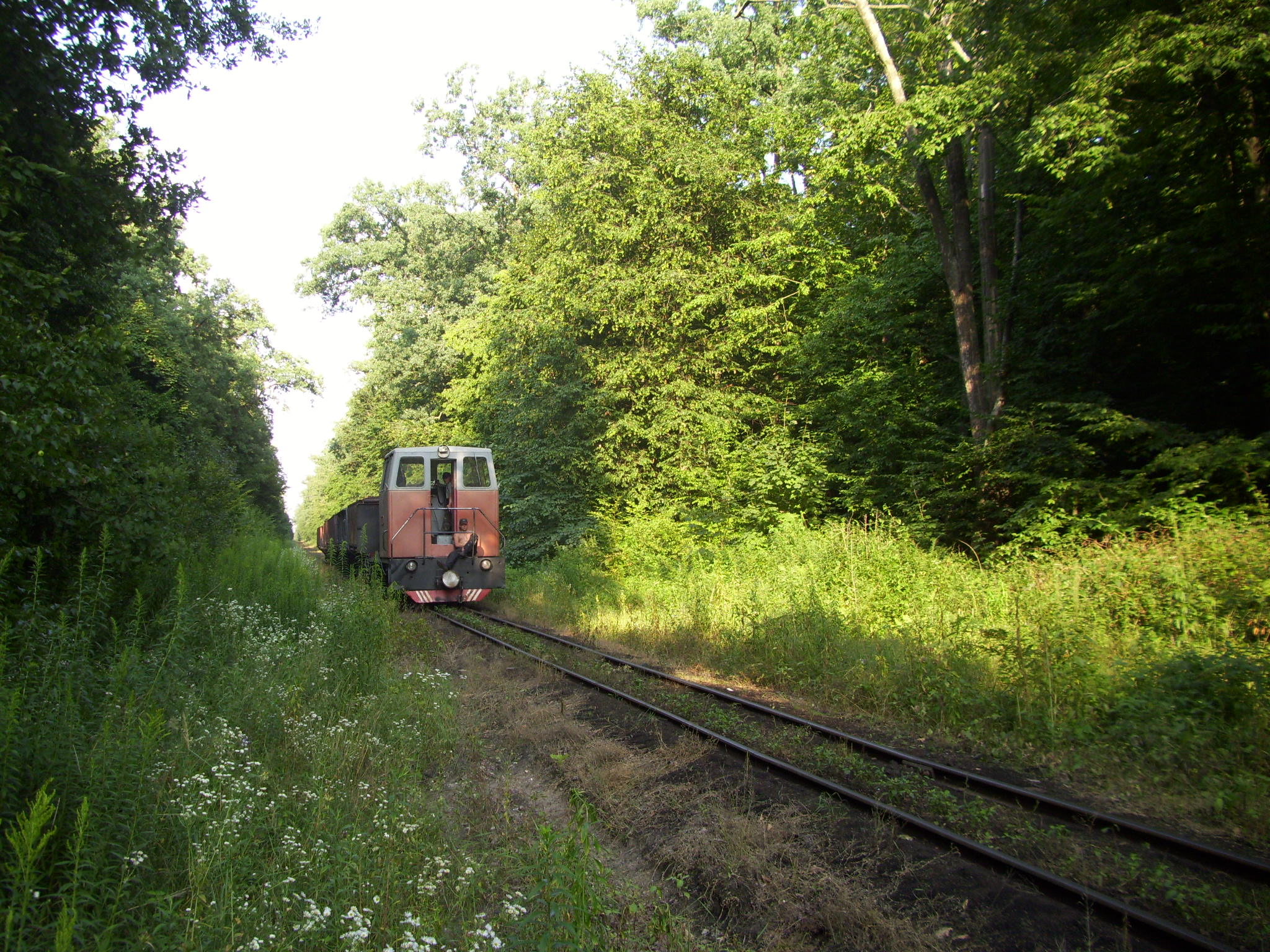 Узкоколейная железная дорога Смыжского торфобрикетного завода — фотографии, сделанные в 2011 году (часть 4)