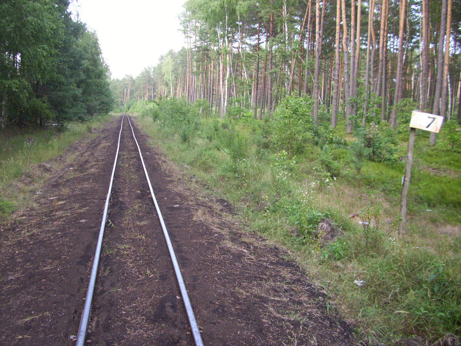 Узкоколейная железная дорога Смыжского торфобрикетного завода — фотографии, сделанные в 2011 году (часть 5)