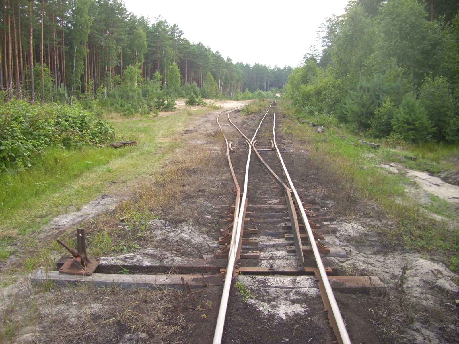 Узкоколейная железная дорога Смыжского торфобрикетного завода — фотографии, сделанные в 2011 году (часть 6)