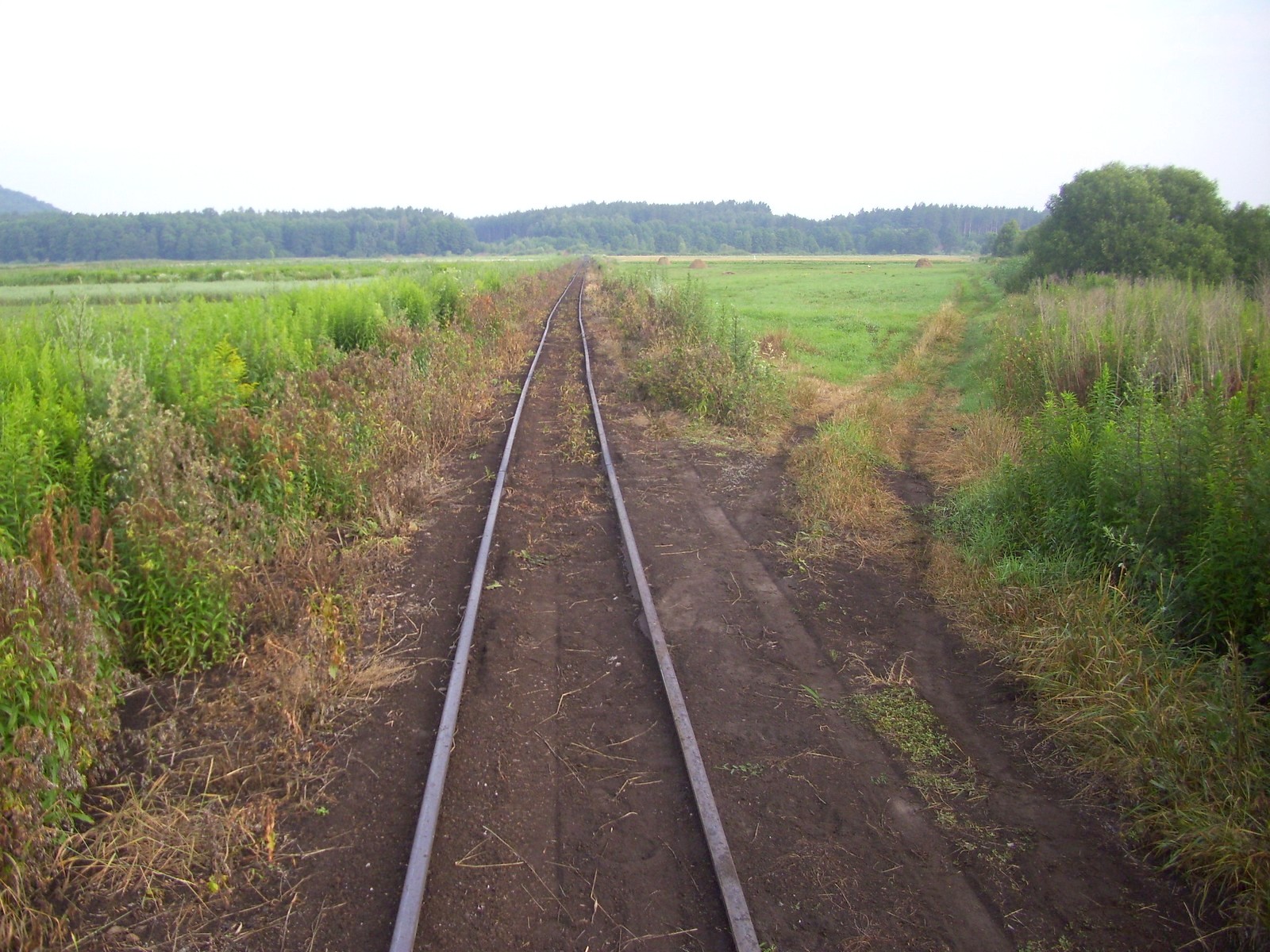 Узкоколейная железная дорога Смыжского торфобрикетного завода — фотографии, сделанные в 2011 году (часть 8)