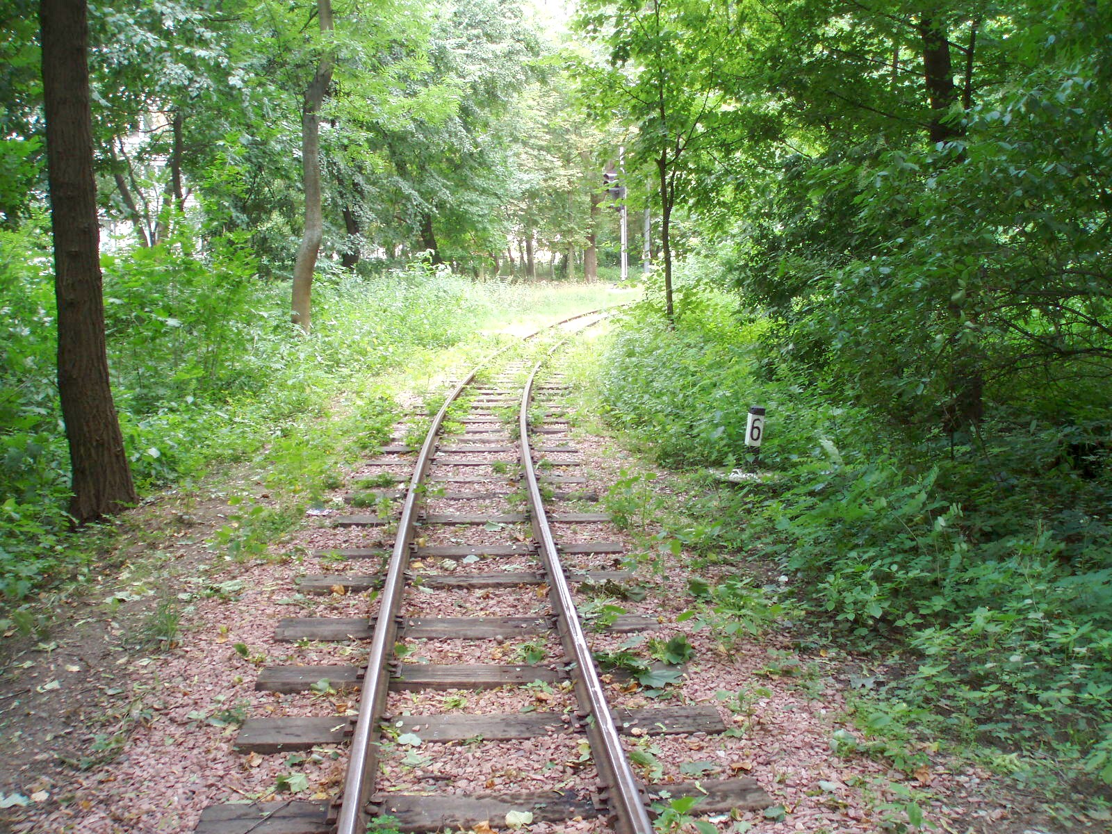 Малая Юго-Западная (Киевская) детская железная дорога  —  фотографии, сделанные в 2007 году (часть 7)