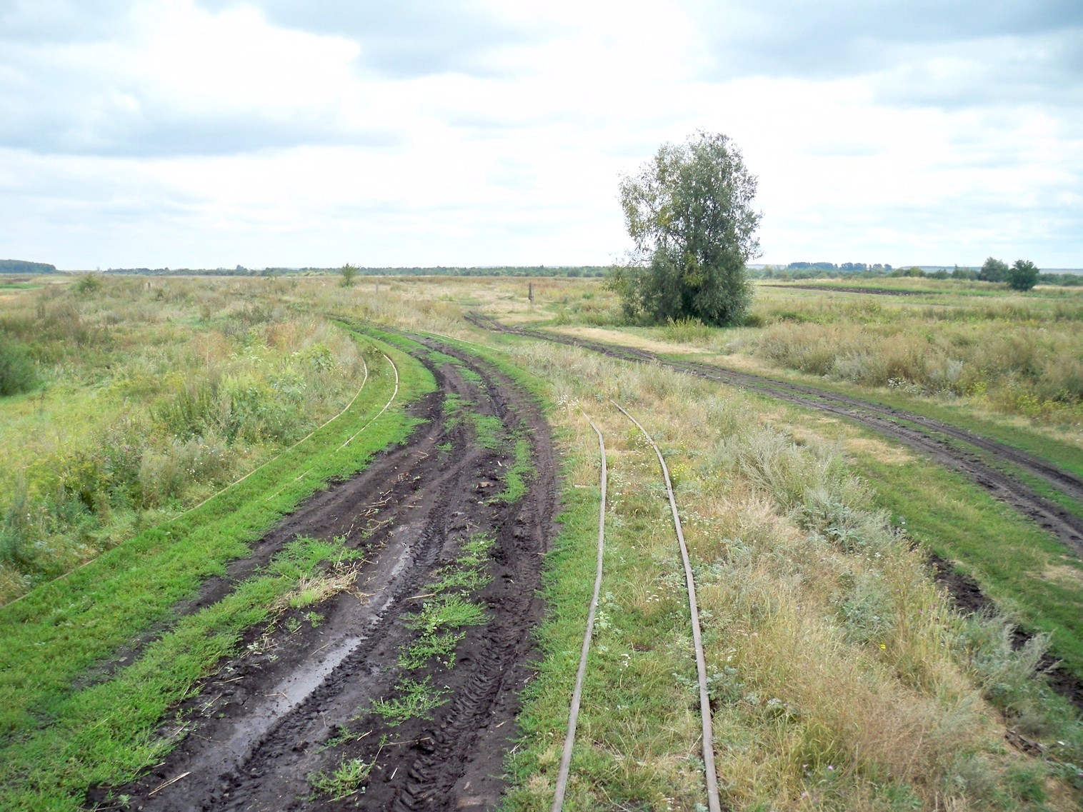 Узкоколейная железная дорога Стояновского торфобрикетного завода
  —  фотографии, сделанные в 2013 году (часть 4)