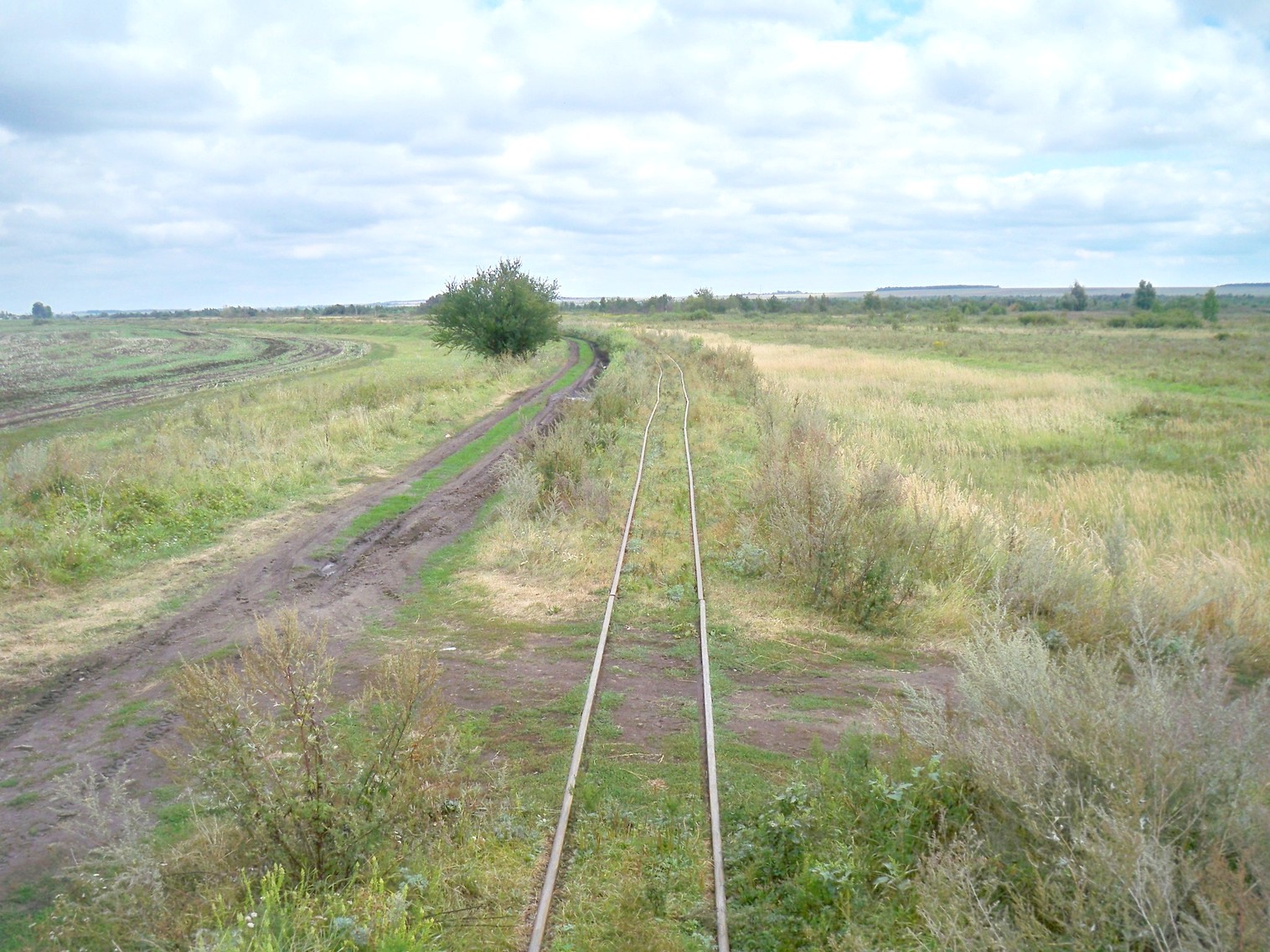 Узкоколейная железная дорога Стояновского торфобрикетного завода
  —  фотографии, сделанные в 2013 году (часть 5)